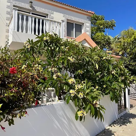 Nissi B&B Bed & Breakfast